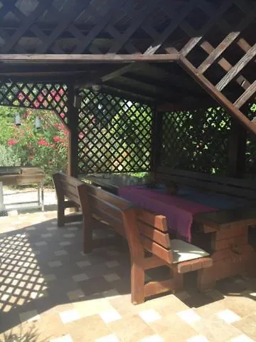 Biba بولا