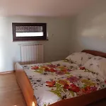 Biba